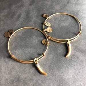Alex And Ani Rafaelian Gold Two Tone HORN Expandable Bracelet